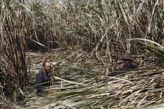 Brazil agricultural land