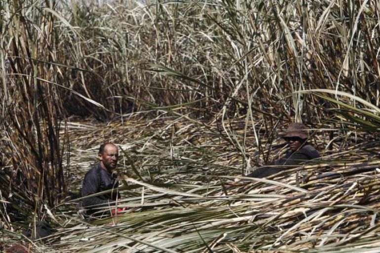 Brazil agricultural land