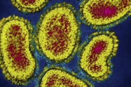 TechKnow - Beyond Ebola: The virus hunters