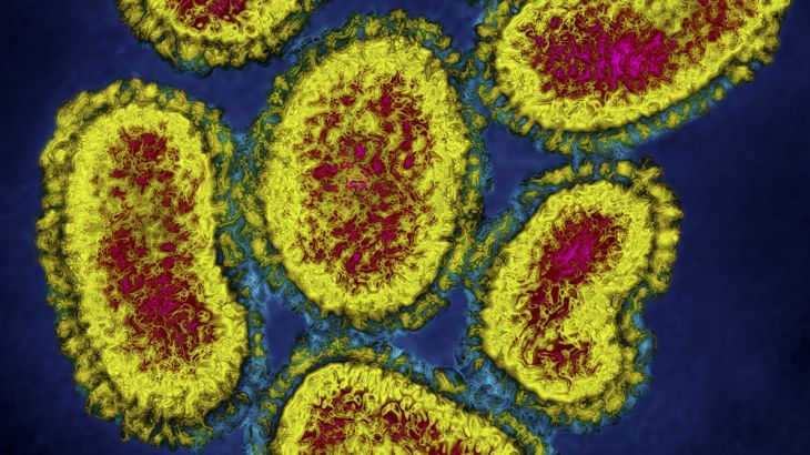 TechKnow - Beyond Ebola: The virus hunters